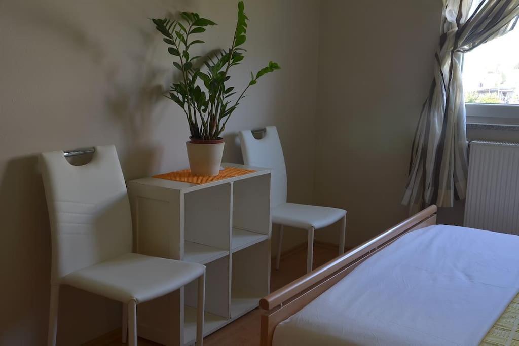 Apartman Ana Pula - Calm, Free Parking, Close To Center Eksteriør bilde